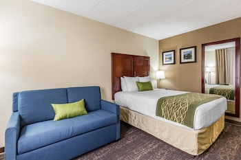 Standard Room, 1 King Bed, Non Smoking