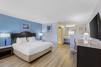 Standard Room, 1 King Bed, Accessible, Bathtub