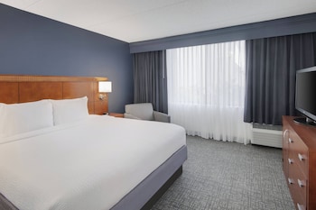 Suite, 1 King Bed with Sofa bed