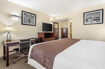 Standard Room, 1 King Bed, Non Smoking