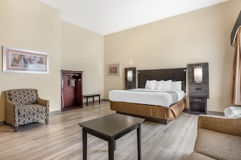 Deluxe Room, 1 King Bed, Non Smoking, Refrigerator (with Sofabed)