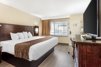 Standard Room, 1 King Bed, Non Smoking