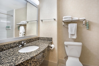 Deluxe Room, 1 King Bed, Non Smoking, Refrigerator (with Sofabed)