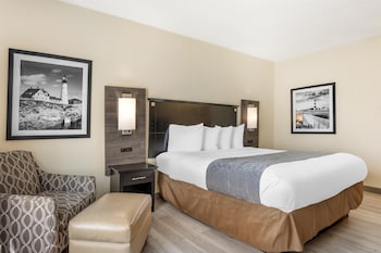 Standard Room, 1 King Bed, Non Smoking, Refrigerator