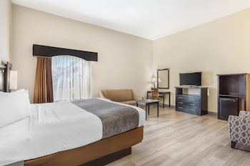 Deluxe Room, 1 King Bed, Non Smoking, Refrigerator (with Sofabed)