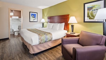 Standard Room, 1 King Bed, Non Smoking, Refrigerator & Microwave
