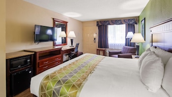 Standard Room, 1 King Bed, Accessible, Refrigerator & Microwave