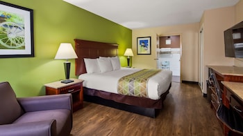 Standard Room, 1 King Bed, Accessible, Refrigerator & Microwave