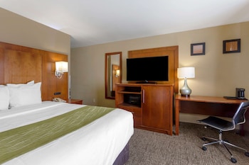 Room, 1 Queen Bed, Non Smoking