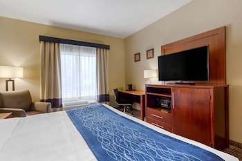 Room, 1 King Bed, Non Smoking