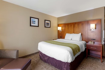 Room, 1 Queen Bed, Non Smoking