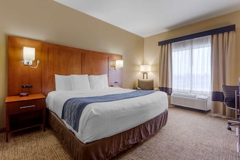 Room, 1 King Bed, Accessible, Non Smoking