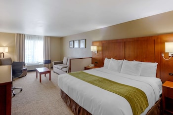 Suite, 1 King Bed with Sofa bed, Non Smoking (Upgrade)