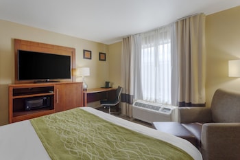 Room, 1 Queen Bed, Non Smoking