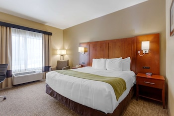 Room, 1 King Bed, Accessible, Non Smoking