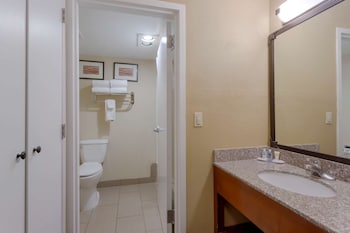 Suite, 1 King Bed with Sofa bed, Non Smoking (Upgrade)