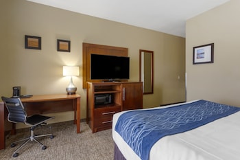 Room, 1 King Bed, Accessible, Non Smoking