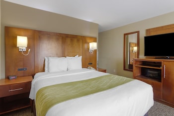 Room, 1 Queen Bed, Non Smoking