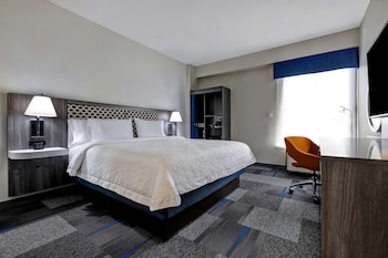 Room, 1 King Bed, Non Smoking, Refrigerator & Microwave (Peloton Bike)