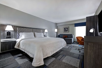 Room, 1 King Bed with Sofa bed, Refrigerator & Microwave