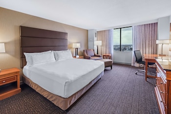 Standard Room, 1 King Bed, Mountain View