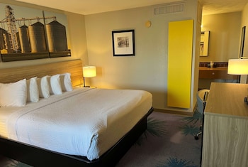 Standard Room, 1 King Bed, Non Smoking