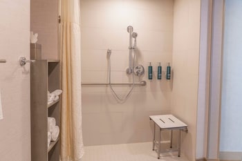 Standard Room, 1 King Bed, Roll-in Shower (Mobility Accessible)