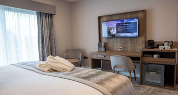 Executive Room, 1 King Bed, Patio, Garden View