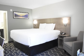 Standard Room, 1 King Bed, Non Smoking