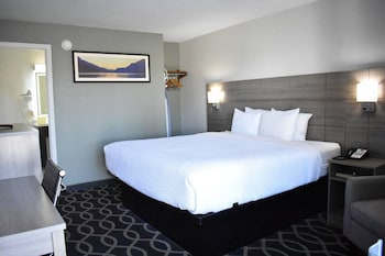 Room, 1 King Bed, Accessible, Non Smoking