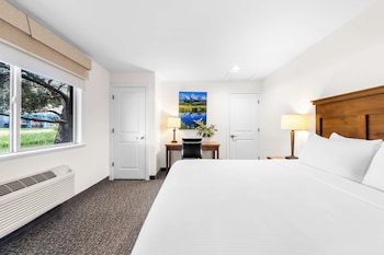 Suite, Multiple Beds, Kitchen, River View (with Sofabed, Full Kitchen)