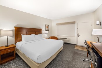 Standard Room, 1 Queen Bed, Non Smoking, Microwave