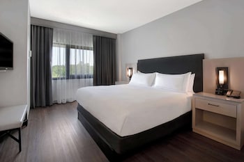 Suite, One King Bed, Accessible