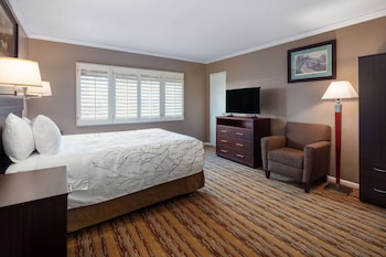Room, 1 King Bed, Non Smoking, City View