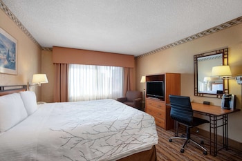 Standard Room, 1 King Bed
