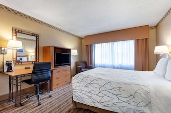 Standard Room, 1 Queen Bed