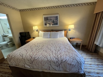 Room, 1 King Bed, Non Smoking, City View