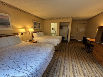 2 Queen Beds Non-Smoking Room
