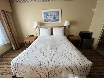 Standard Room, 1 Queen Bed