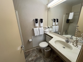 Room, 1 King Bed, Non Smoking, City View
