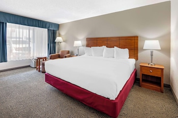 Standard Room, 1 King Bed, Smoking, Refrigerator & Microwave