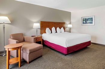 Standard Room, 1 King Bed, Smoking, Refrigerator & Microwave