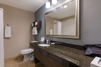 Standard Room, 1 King Bed, Non Smoking, Refrigerator & Microwave (with Single Sofabed)