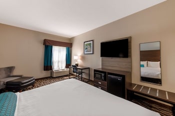 Standard Room, 1 King Bed, Non Smoking, Refrigerator & Microwave