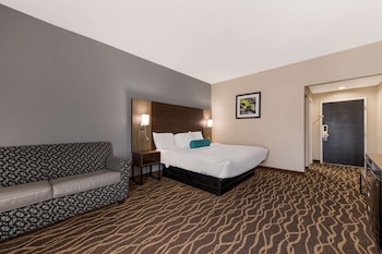 Standard Room, 1 King Bed, Non Smoking, Refrigerator & Microwave (with Single Sofabed)