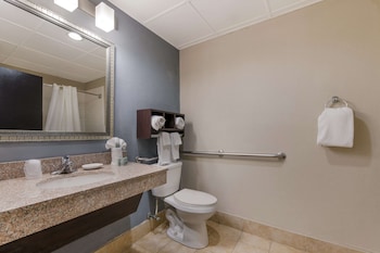 Standard Room, 1 King Bed, Non Smoking, Refrigerator & Microwave