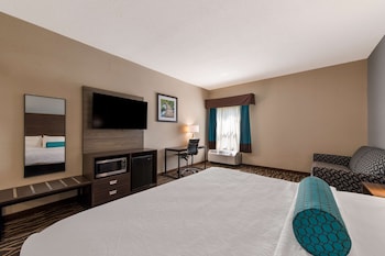 Standard Room, 1 King Bed, Non Smoking, Refrigerator & Microwave (with Single Sofabed)