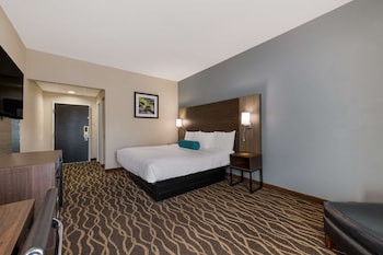 Standard Room, 1 King Bed, Non Smoking, Refrigerator & Microwave