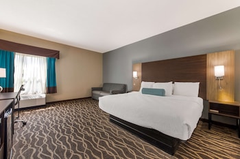 Standard Room, 1 King Bed, Non Smoking, Refrigerator & Microwave (with Single Sofabed)