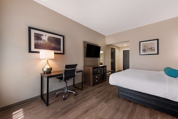 Standard Room, 1 King Bed, Non Smoking, Refrigerator & Microwave
